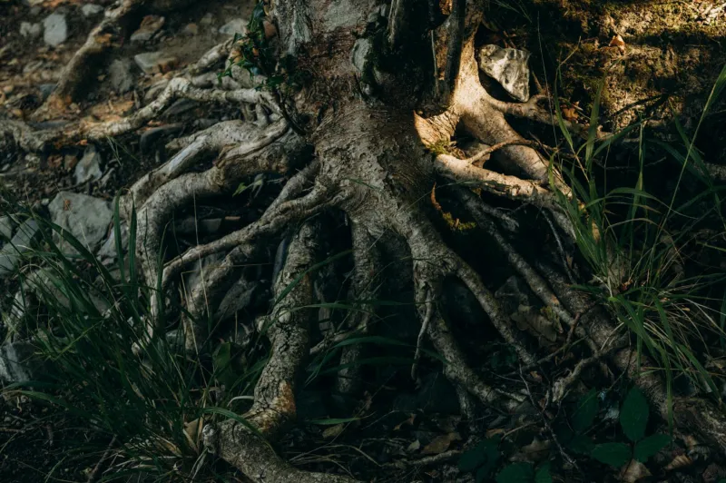 The Foundation First Philosophy: Why Structural Strength Beats Investment Returns in Building Lasting Wealth